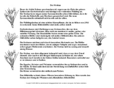 Abschreibtext-Krokus-SW.pdf